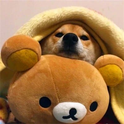 Ivan Gunawan avatar